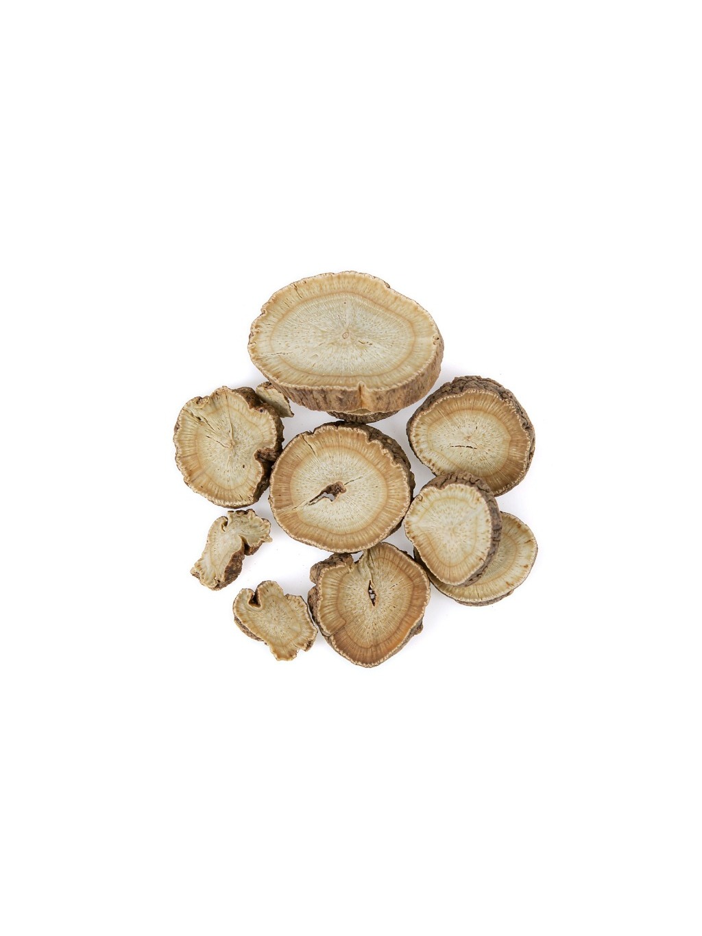 Alisma Rhizome