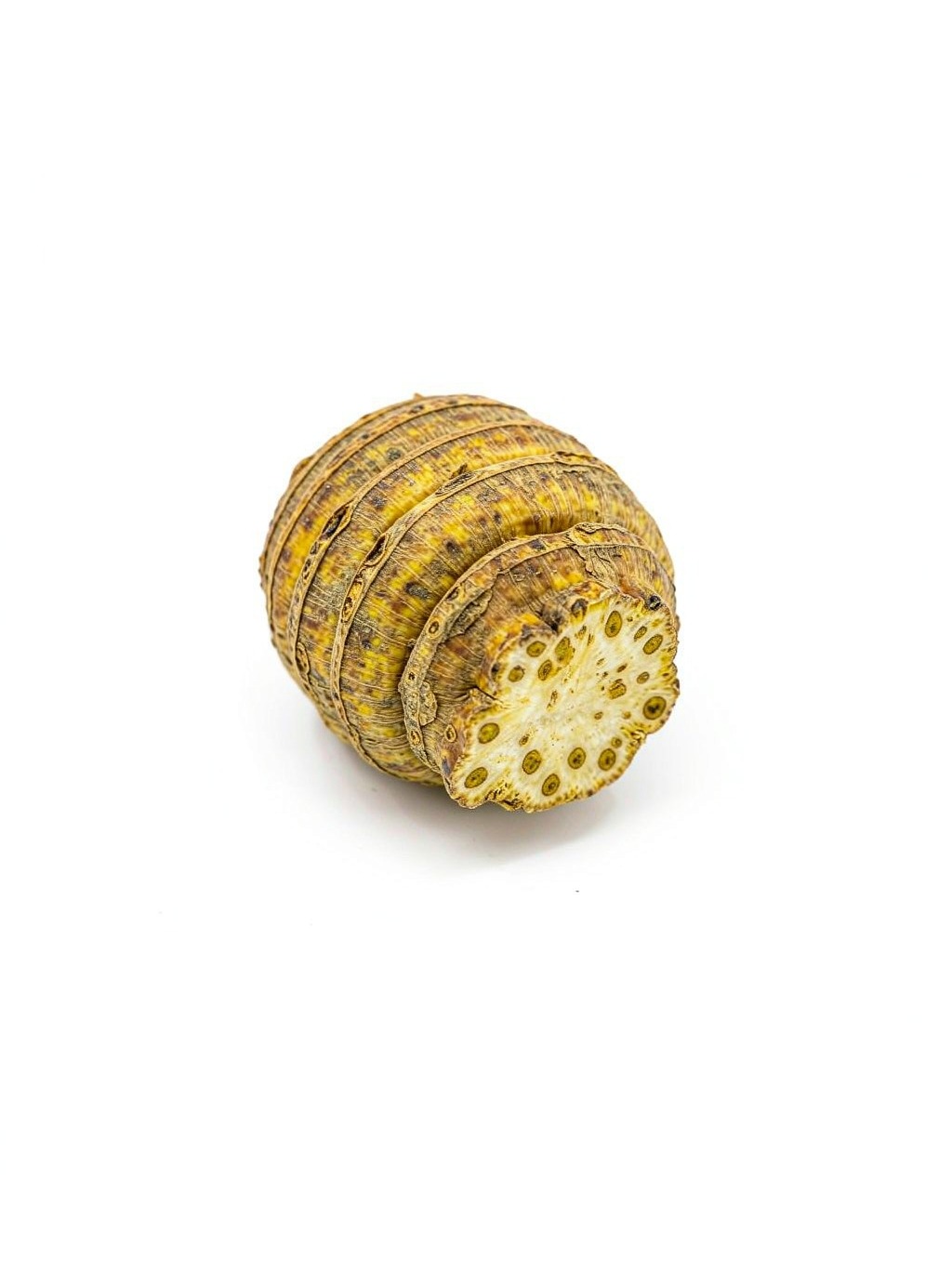Szechuan Lovage Rhizome