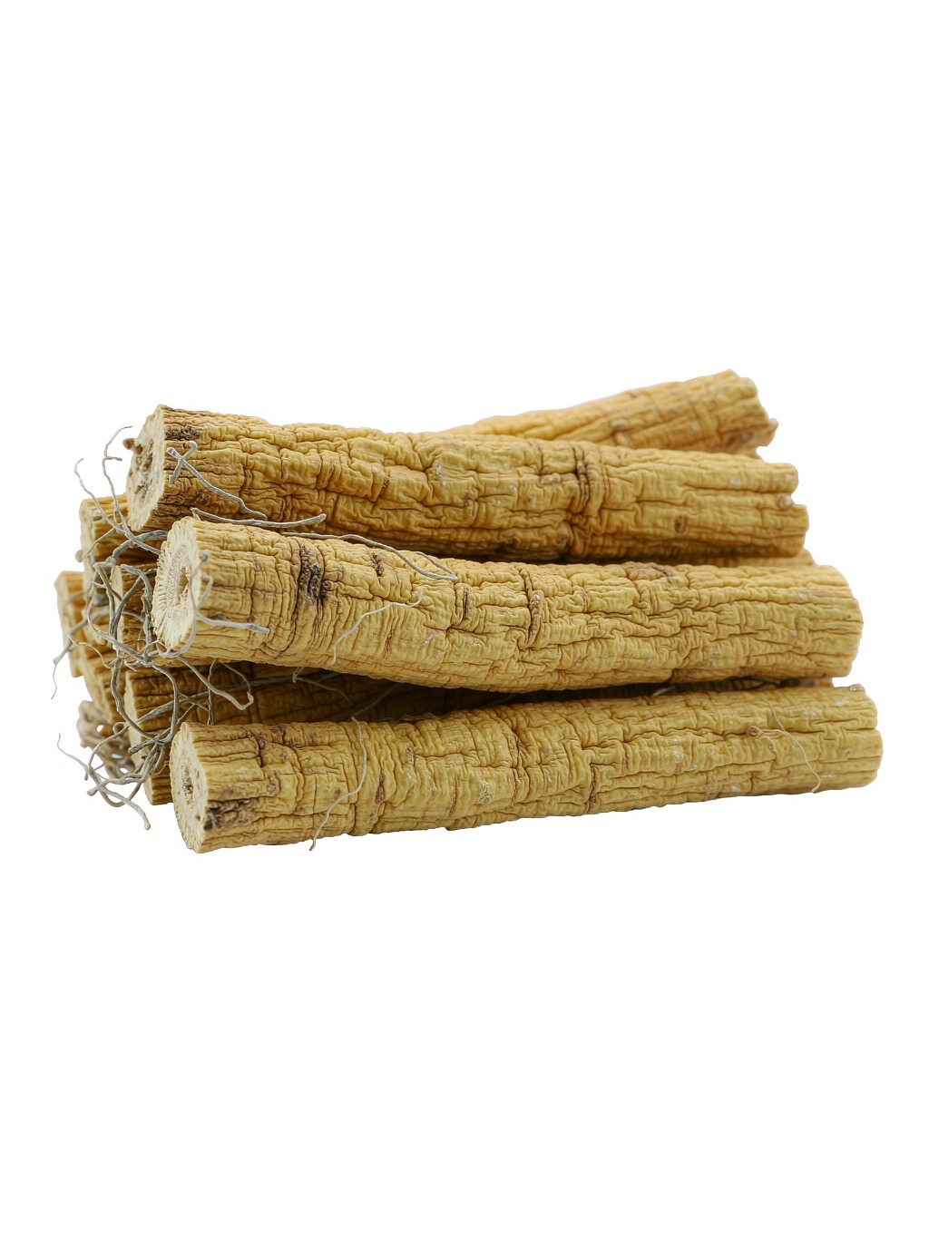 Astragalus Root