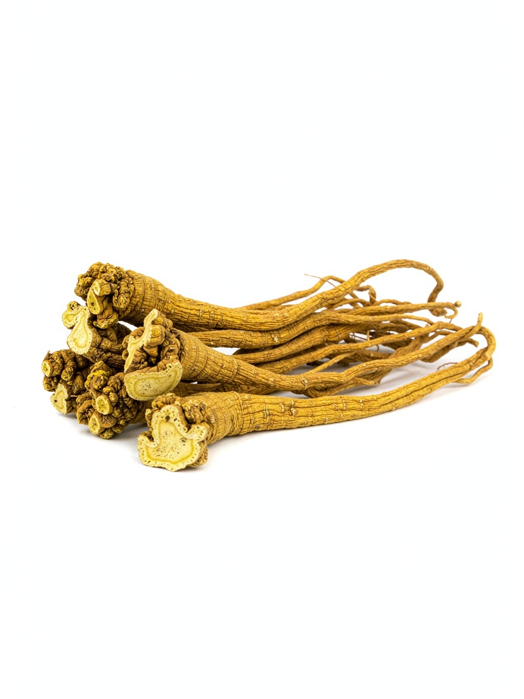 Chinese Angelica Root