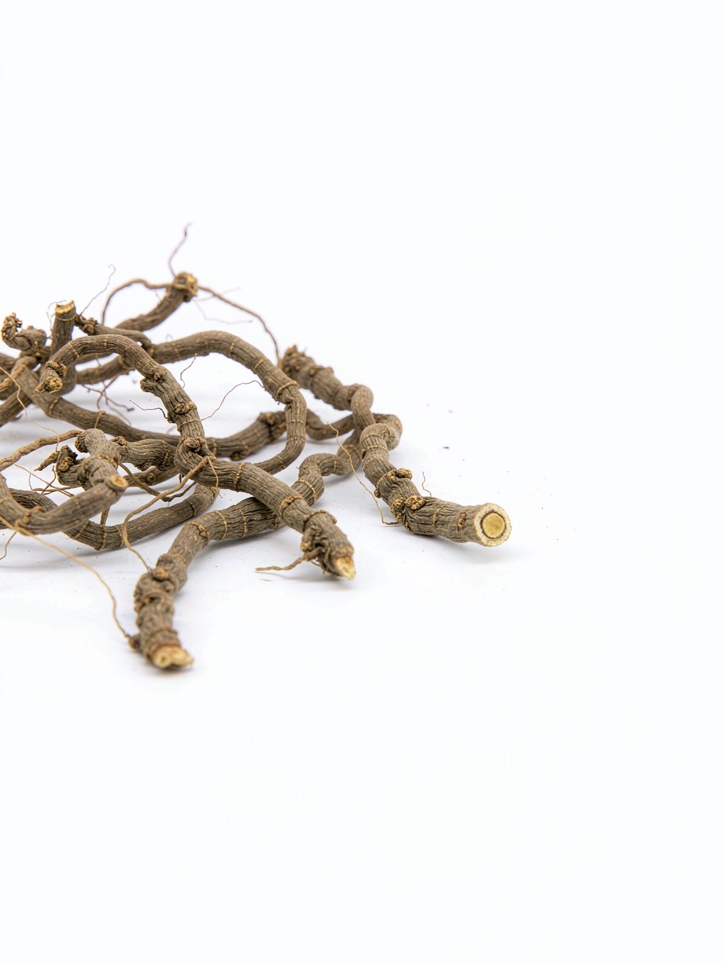 Grassleaf Sweetflag Rhizome
